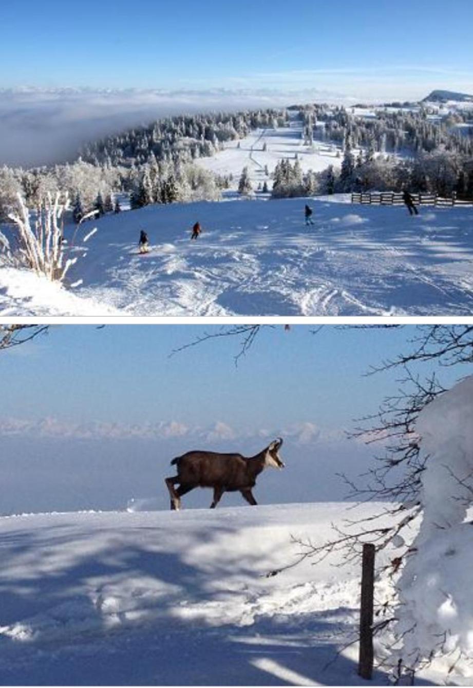 Appartamento Le Chamois Mont D'Or Métabief Esterno foto